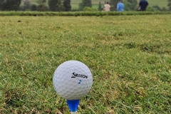 20221015_130315-scaled